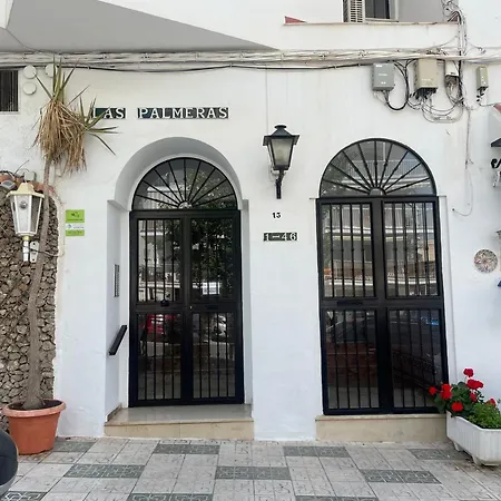 Palmeras 8 Menyber נרחה