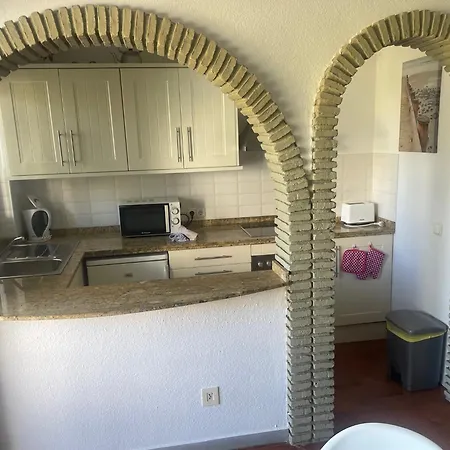 Palmeras 8 Menyber *