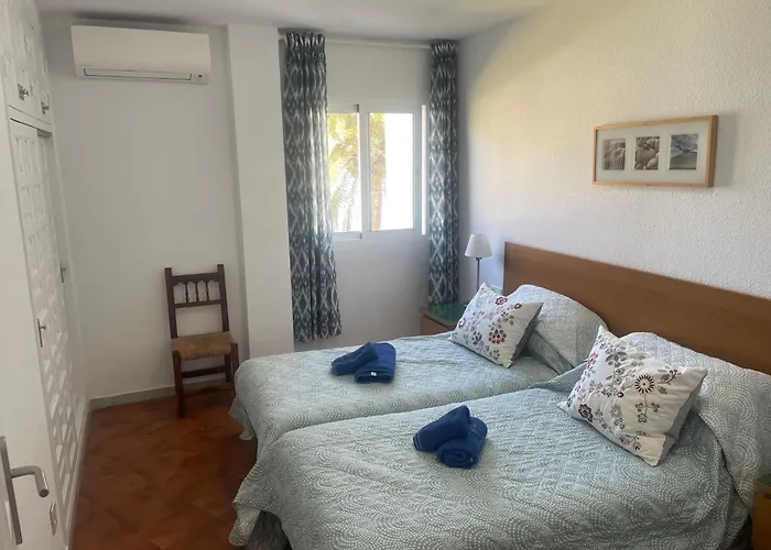 Palmeras 8 Menyber * Нерха