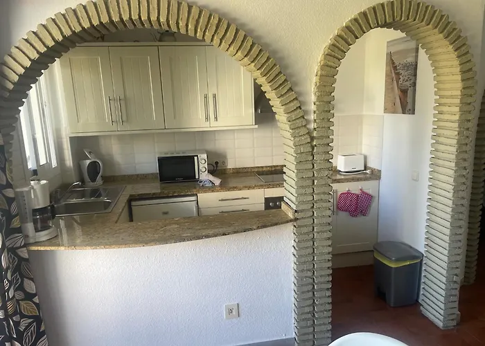 Palmeras 8 Menyber *